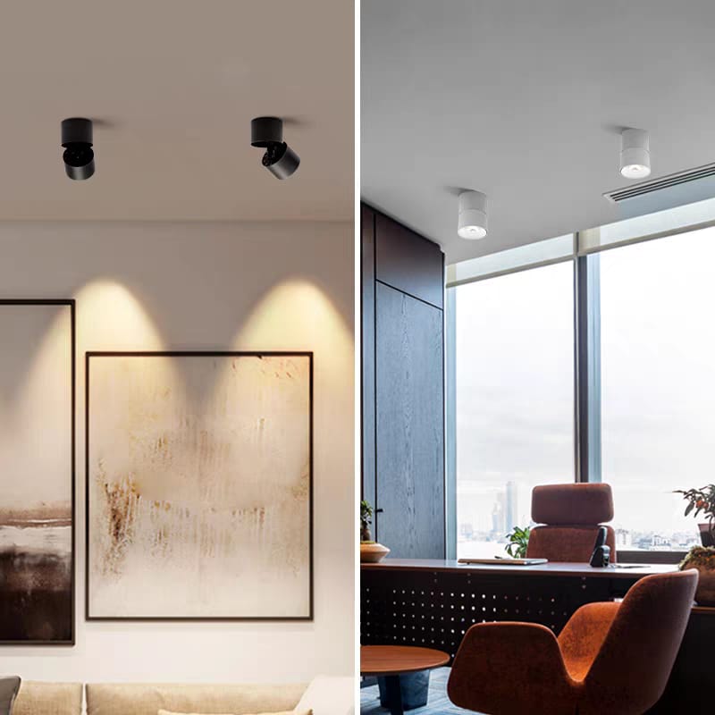 Surface-Mounted Spotlight (C/3017-1 WH/BK)