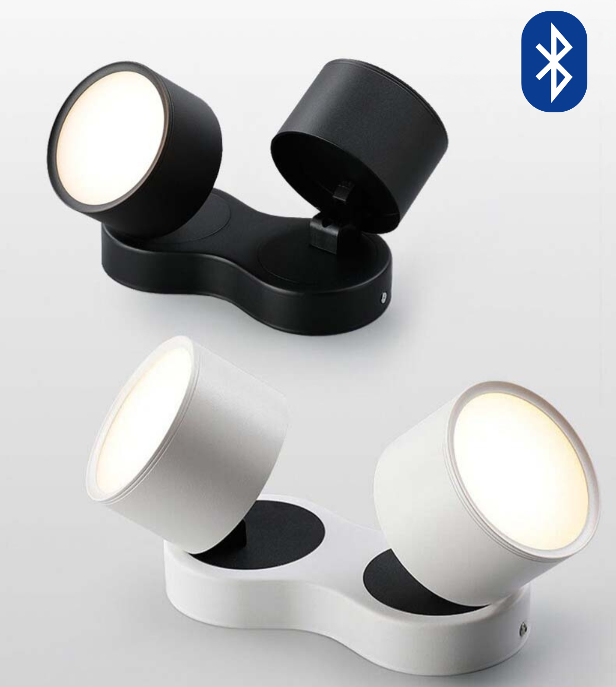 Adjustable LED Dual Ceiling Light