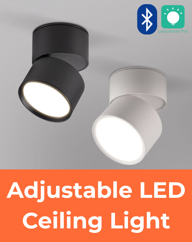 Adjustable LED Ceiling Light