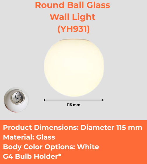 Round Ball Glass Wall Light (YH931)