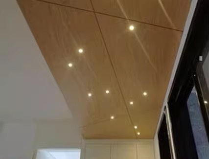 Cabinet Downlight (BS-4)