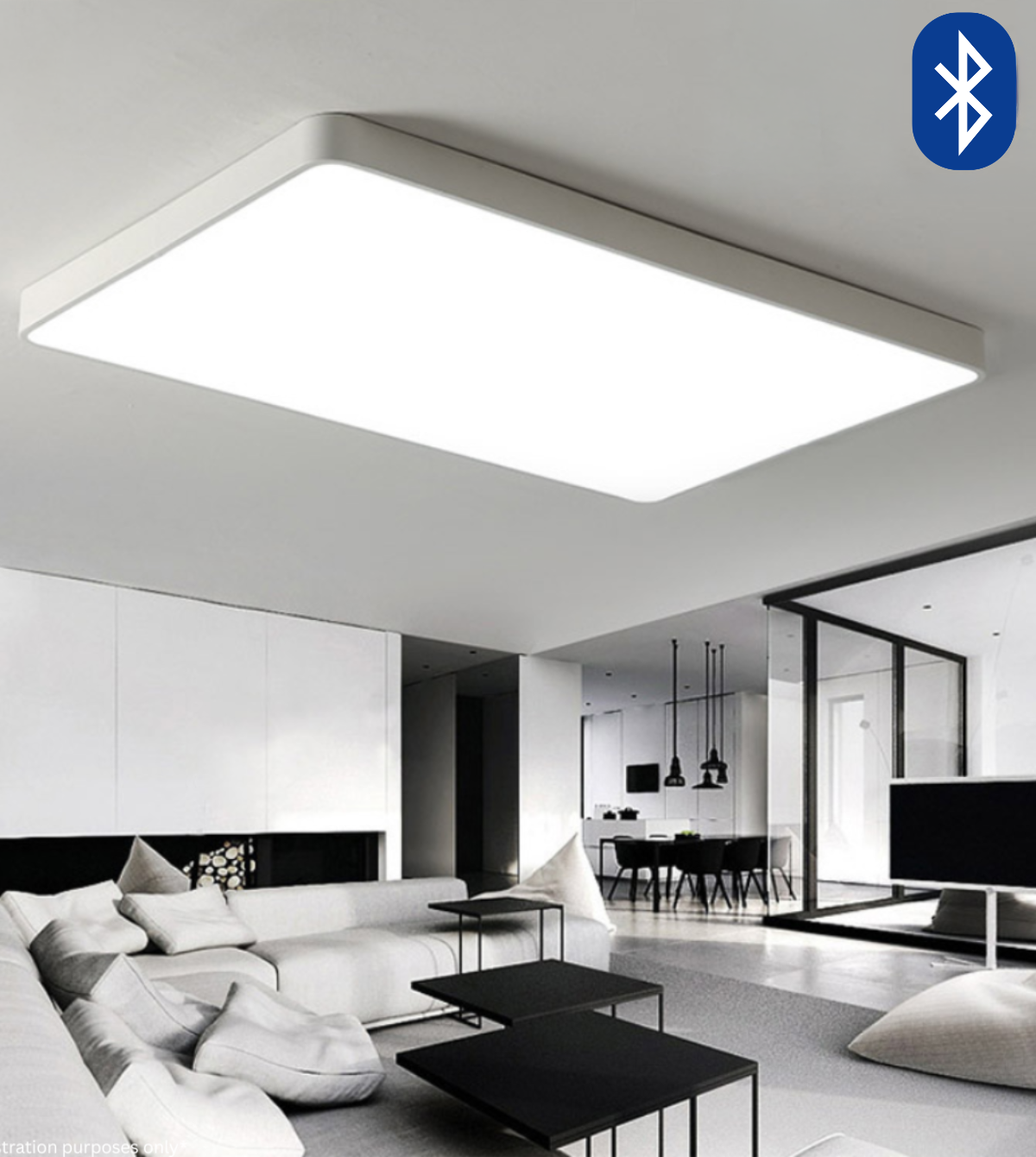 Rectangular LED Ceiling Light (WH/BK)
