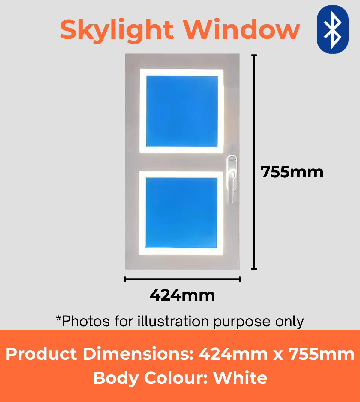 Skylight Window