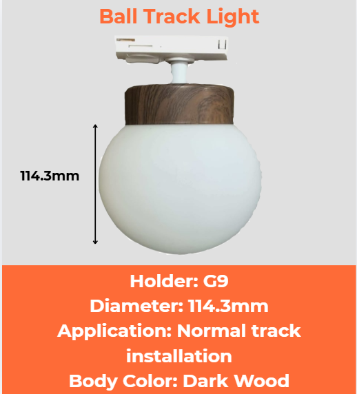 Ball Track Light 