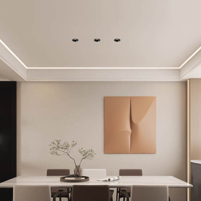 Curved Downlight (DS-12W)