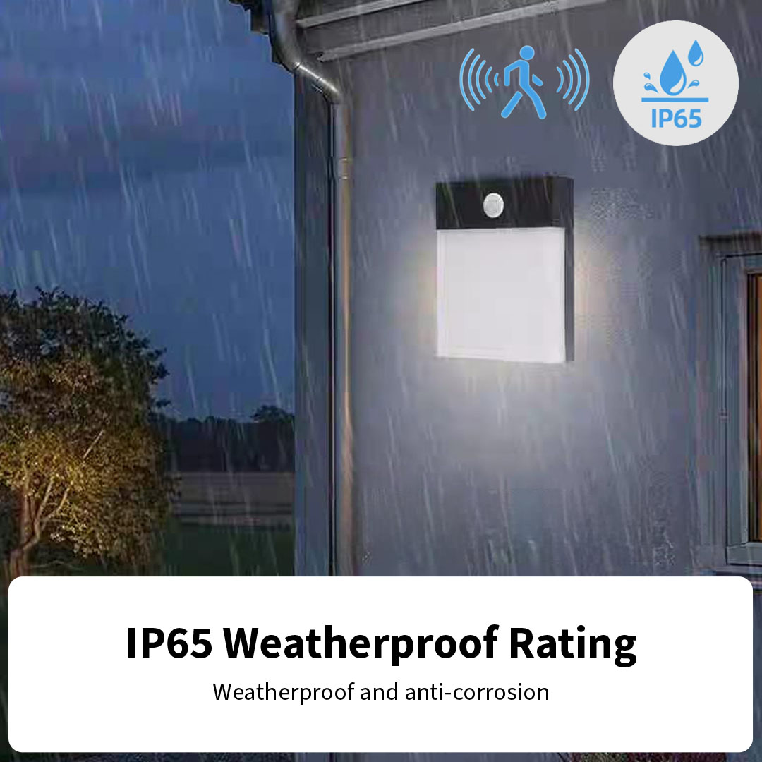 IP65 Sensor Outdoor Wall Light (QH-9566/Sensor)