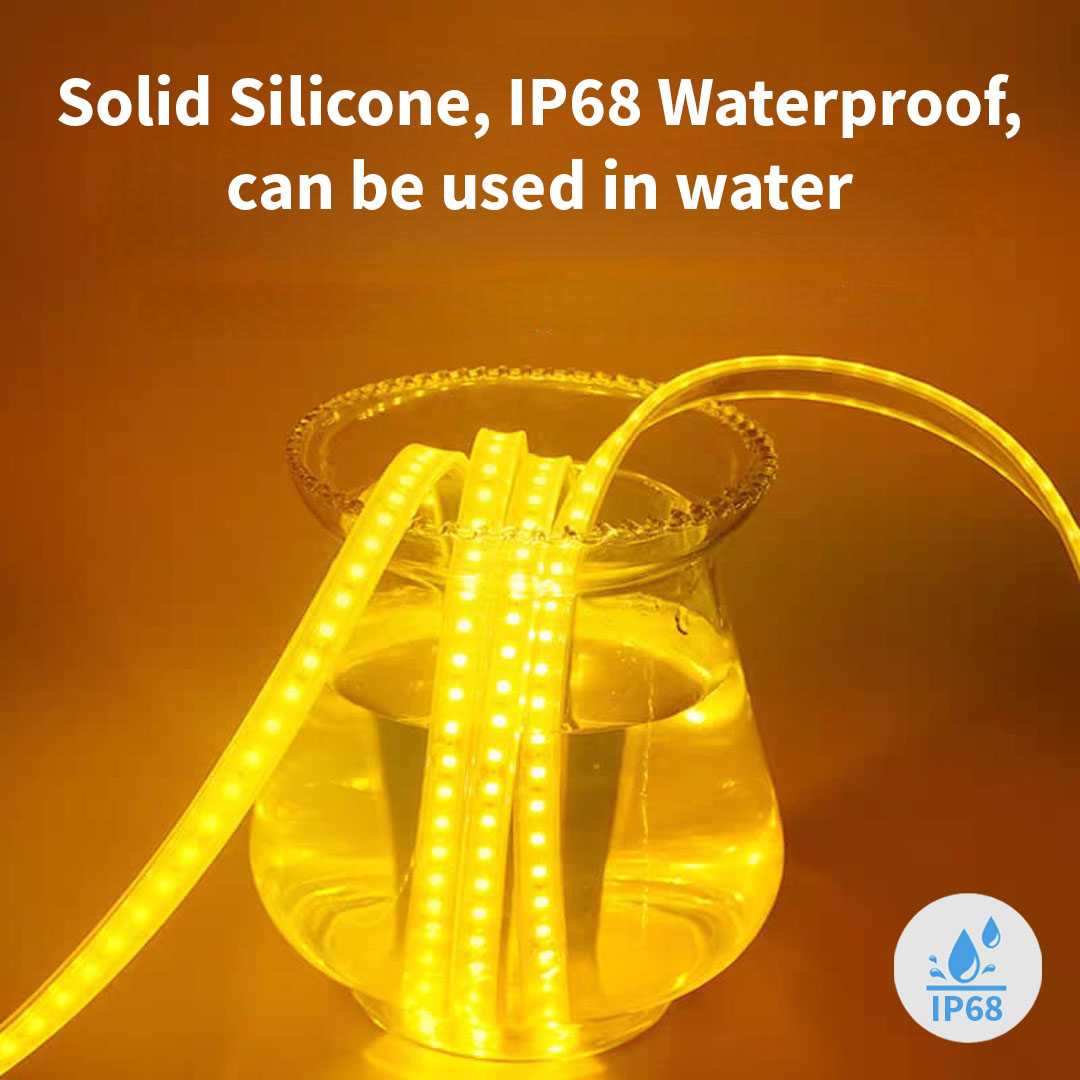 24V IP68 Waterproof 1M / 120 LED Strip Light