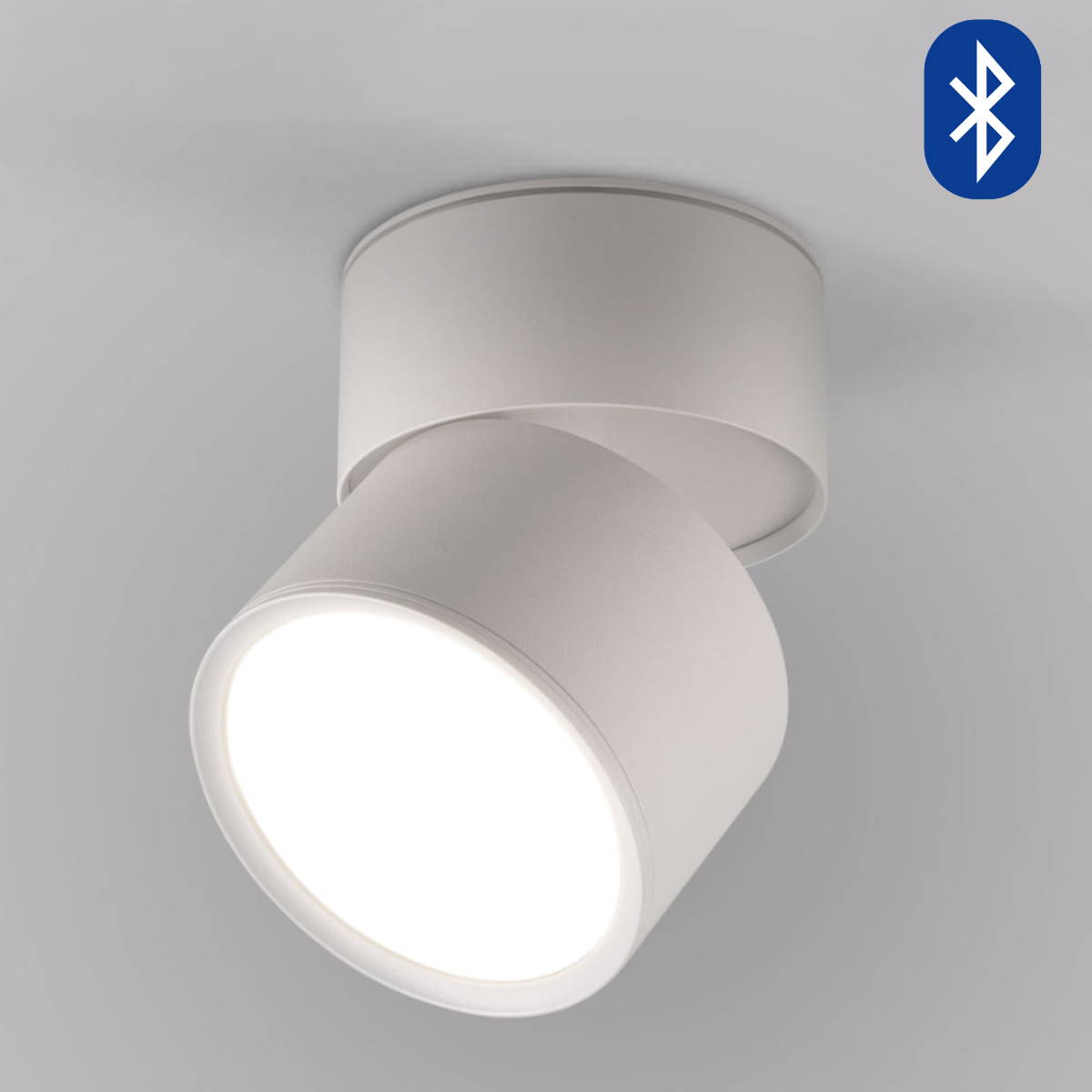 Adjustable LED Ceiling Light
