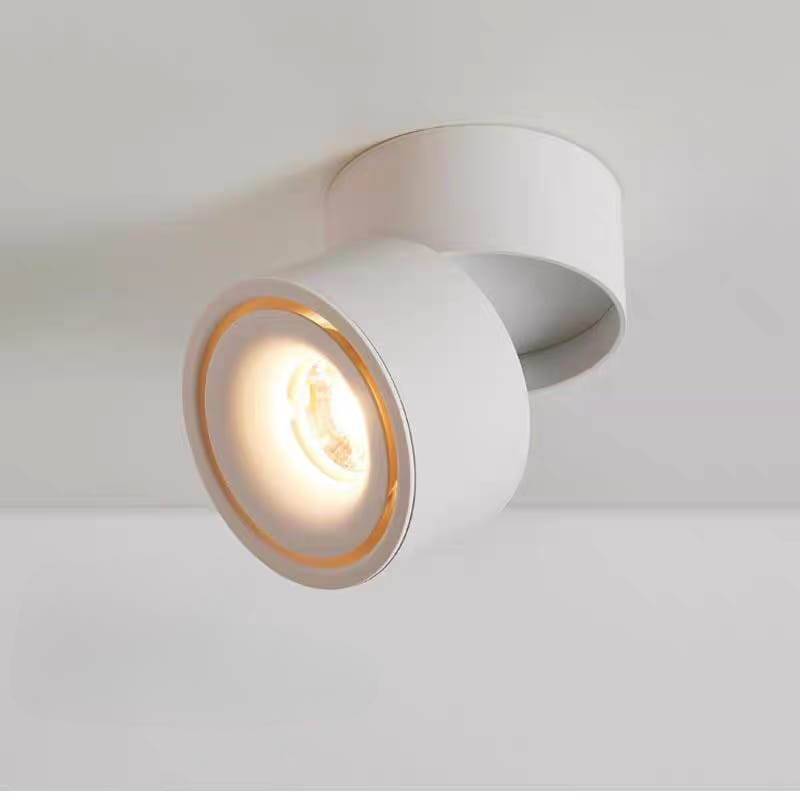 Surface-Mounted Spotlight (C/3017-1 WH/BK)