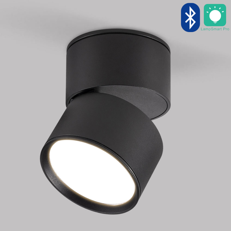 Adjustable LED Ceiling Light