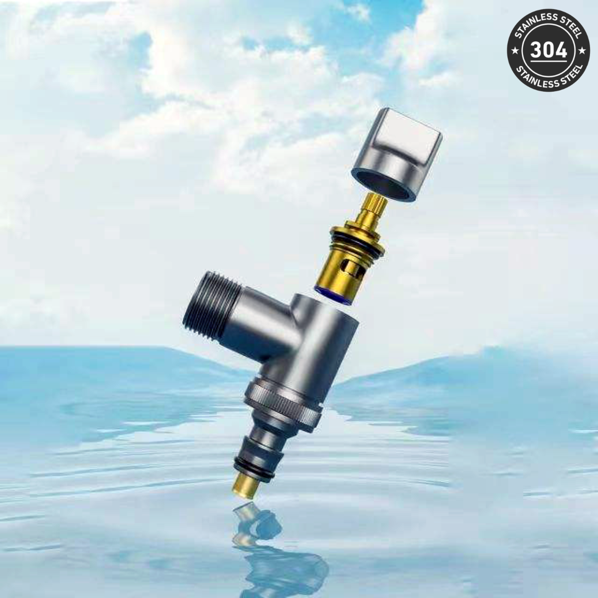 Stainless Steel Washing Machine Valve (CH/TT)