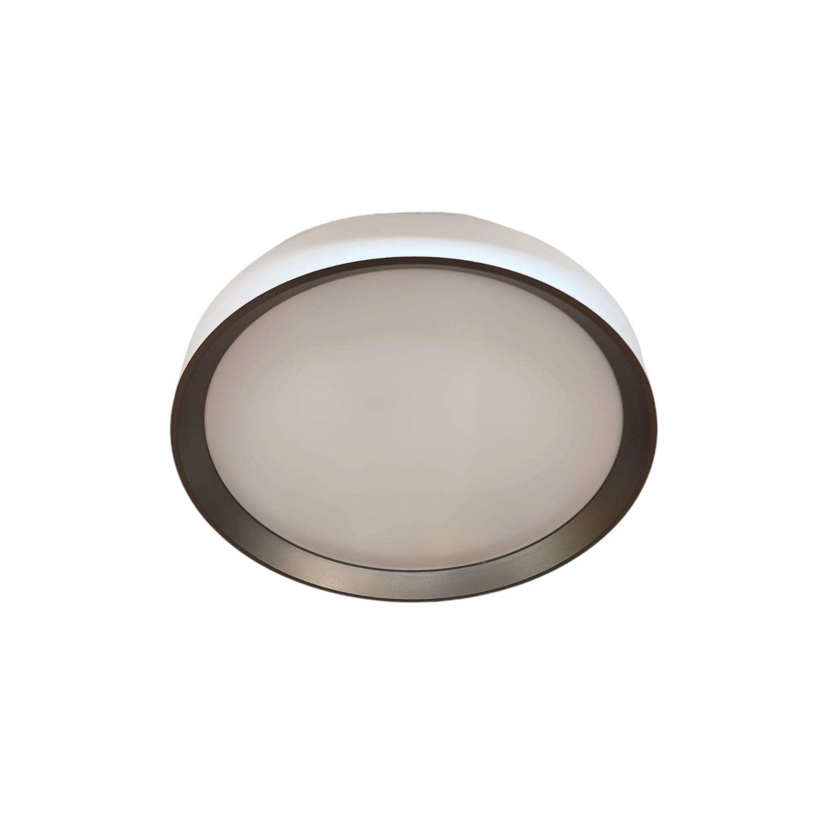 Modern Circular LED Ceiling Light