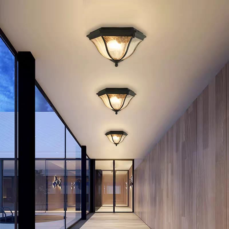Outdoor Ceiling Light