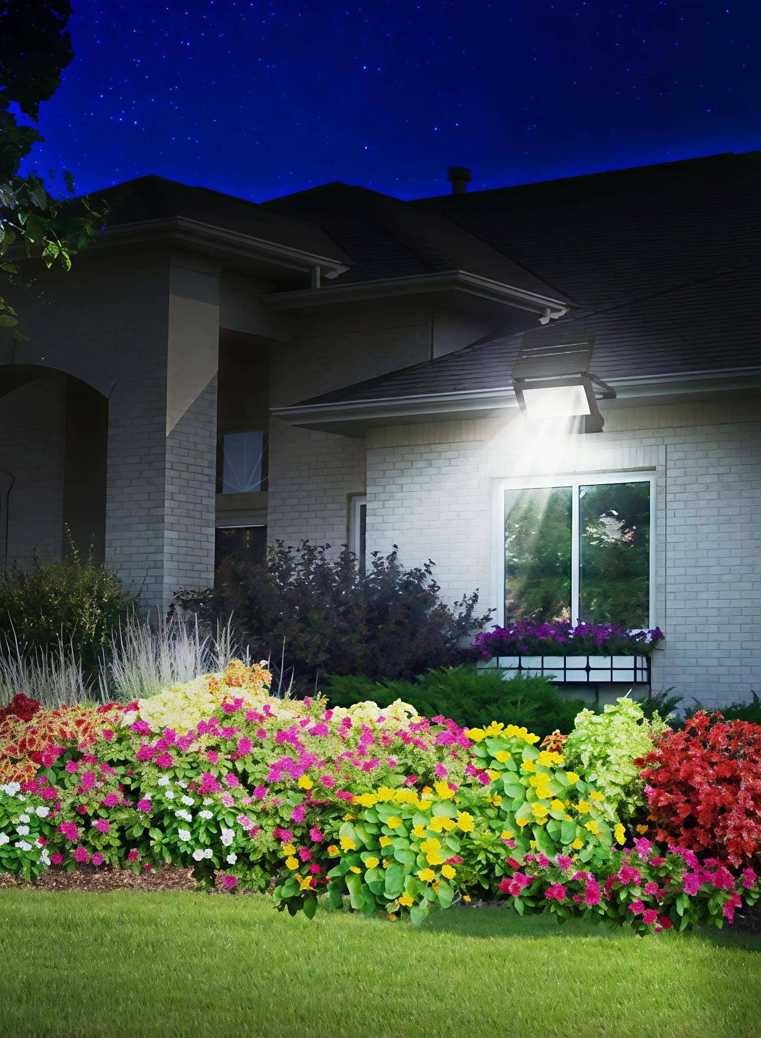 Solar Wall Light