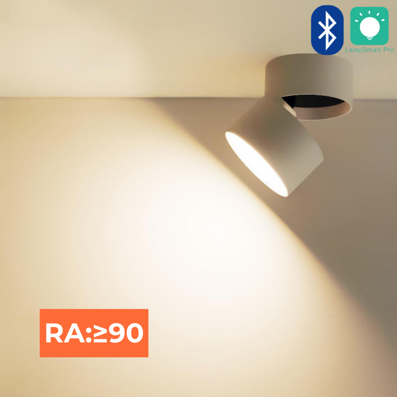 Adjustable LED Ceiling Light