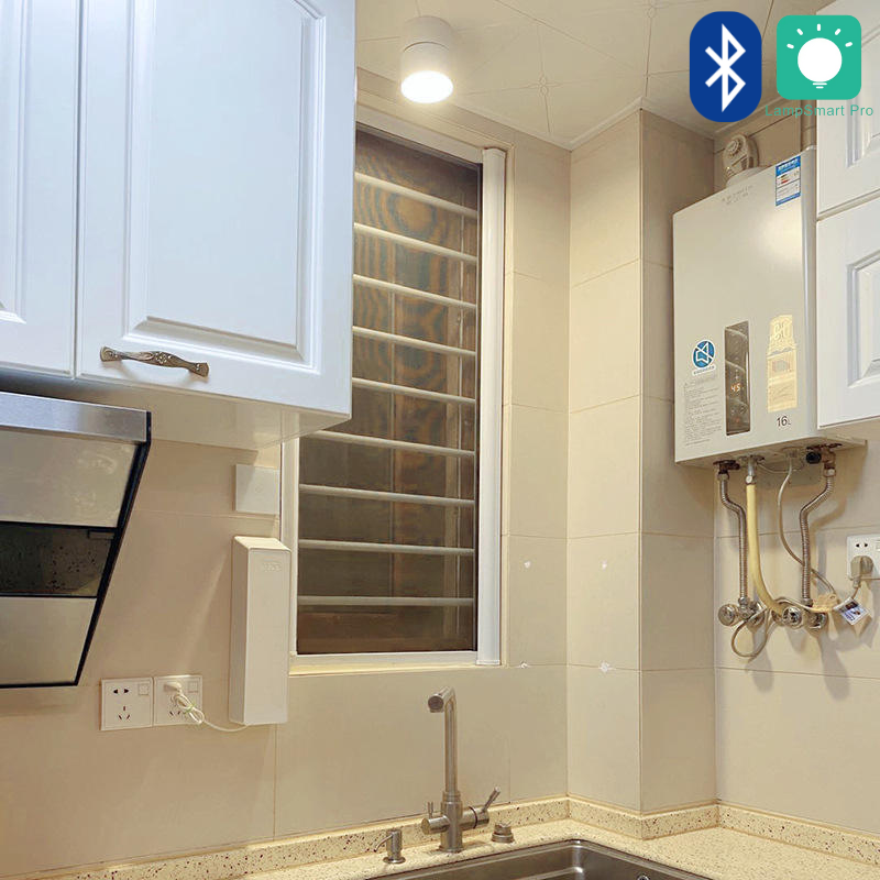 Adjustable LED Ceiling Light