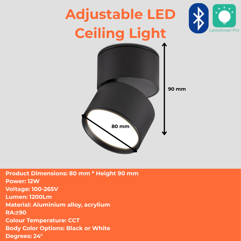 Adjustable LED Ceiling Light