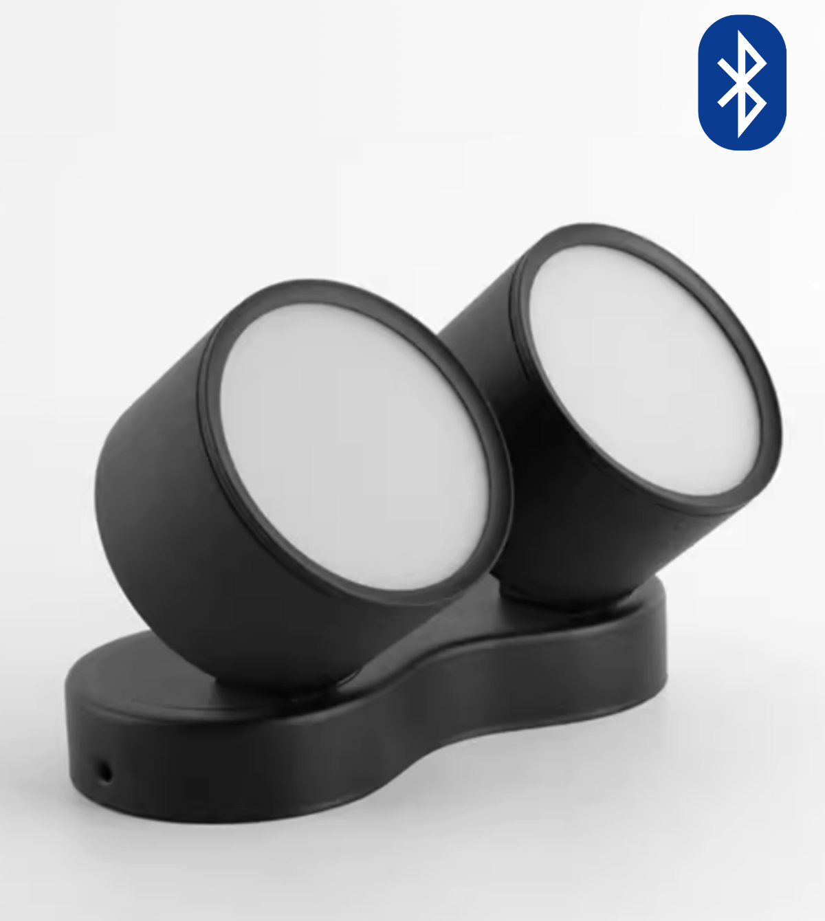 Adjustable LED Dual Ceiling Light