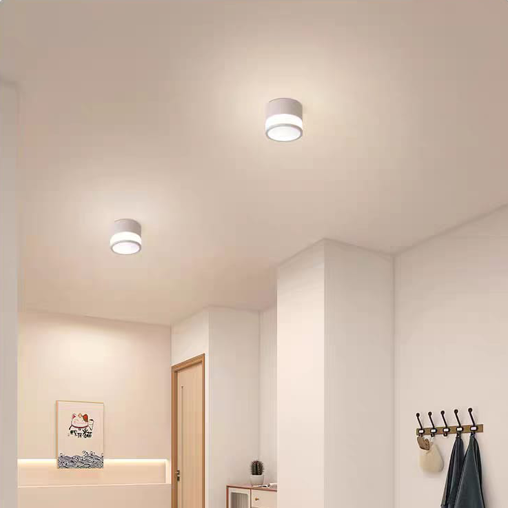 LED Ceiling Light (12W/18W-CCT WH/BK)