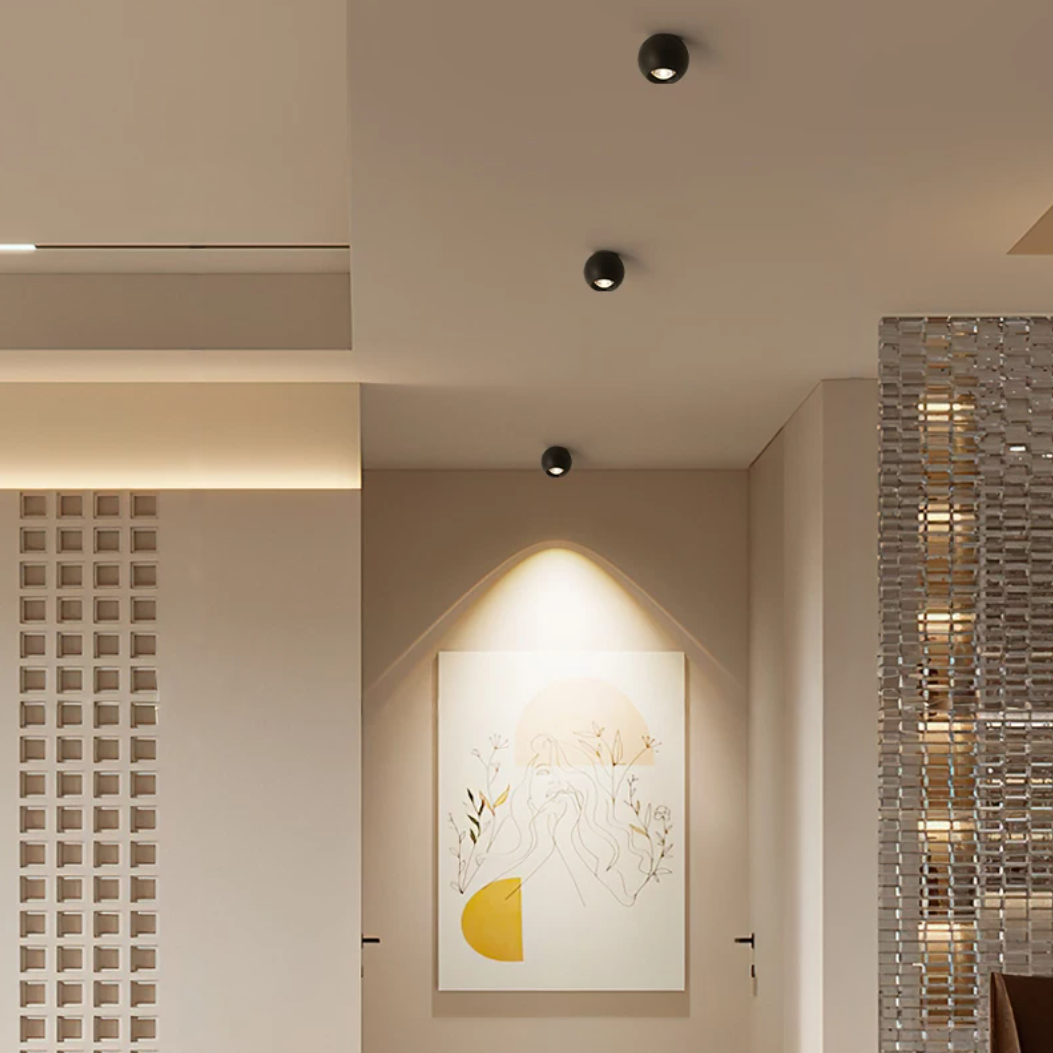 Eyeball Surface-Mounted Led-Light (Y106-12W-WH/BK)