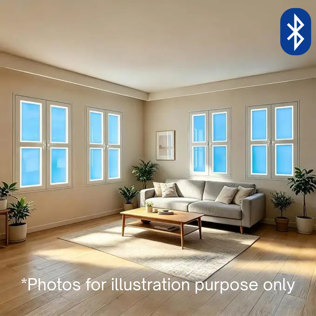 Skylight Window
