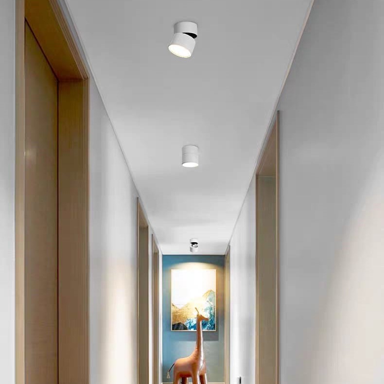 Surface-Mounted Spotlight (C/3017-1 WH/BK)