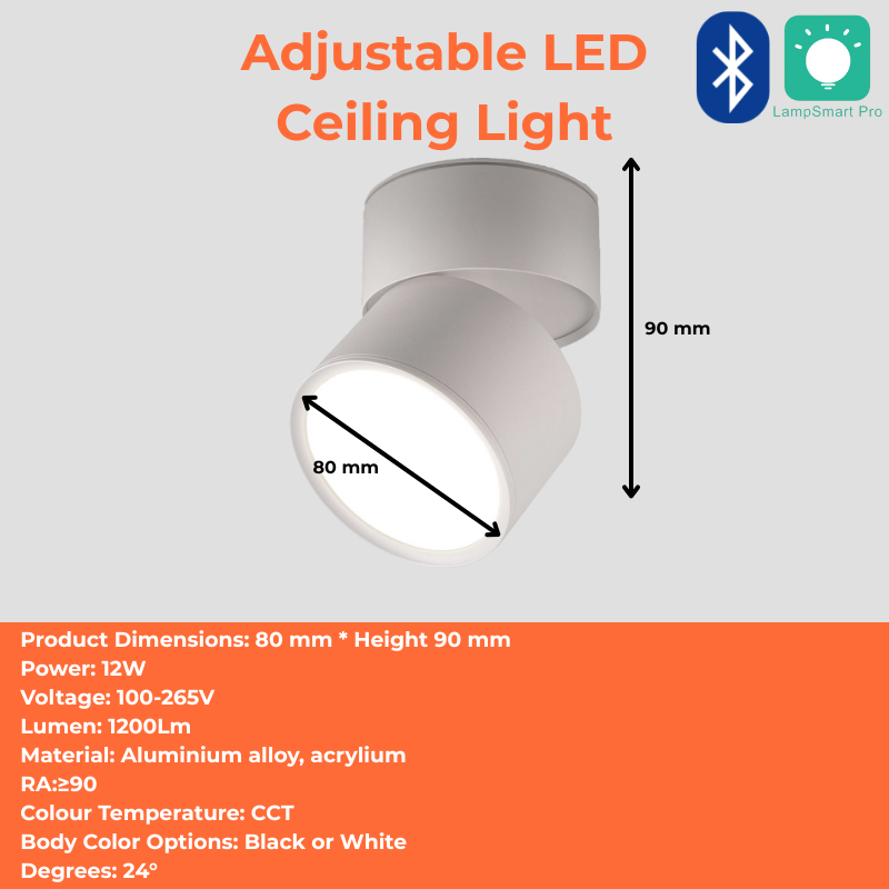 Adjustable LED Ceiling Light
