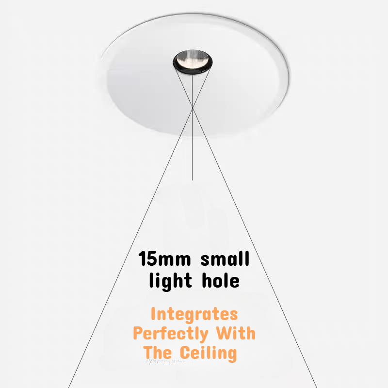 Spotlight with Small Hole (CCT-12W)
