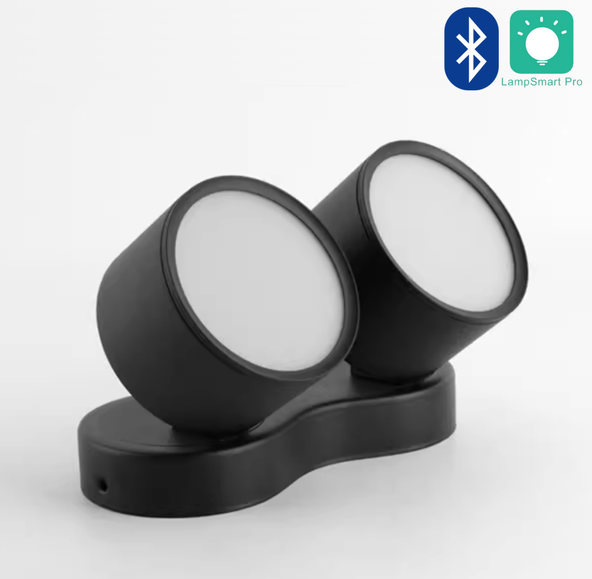 Adjustable LED Dual Ceiling Light