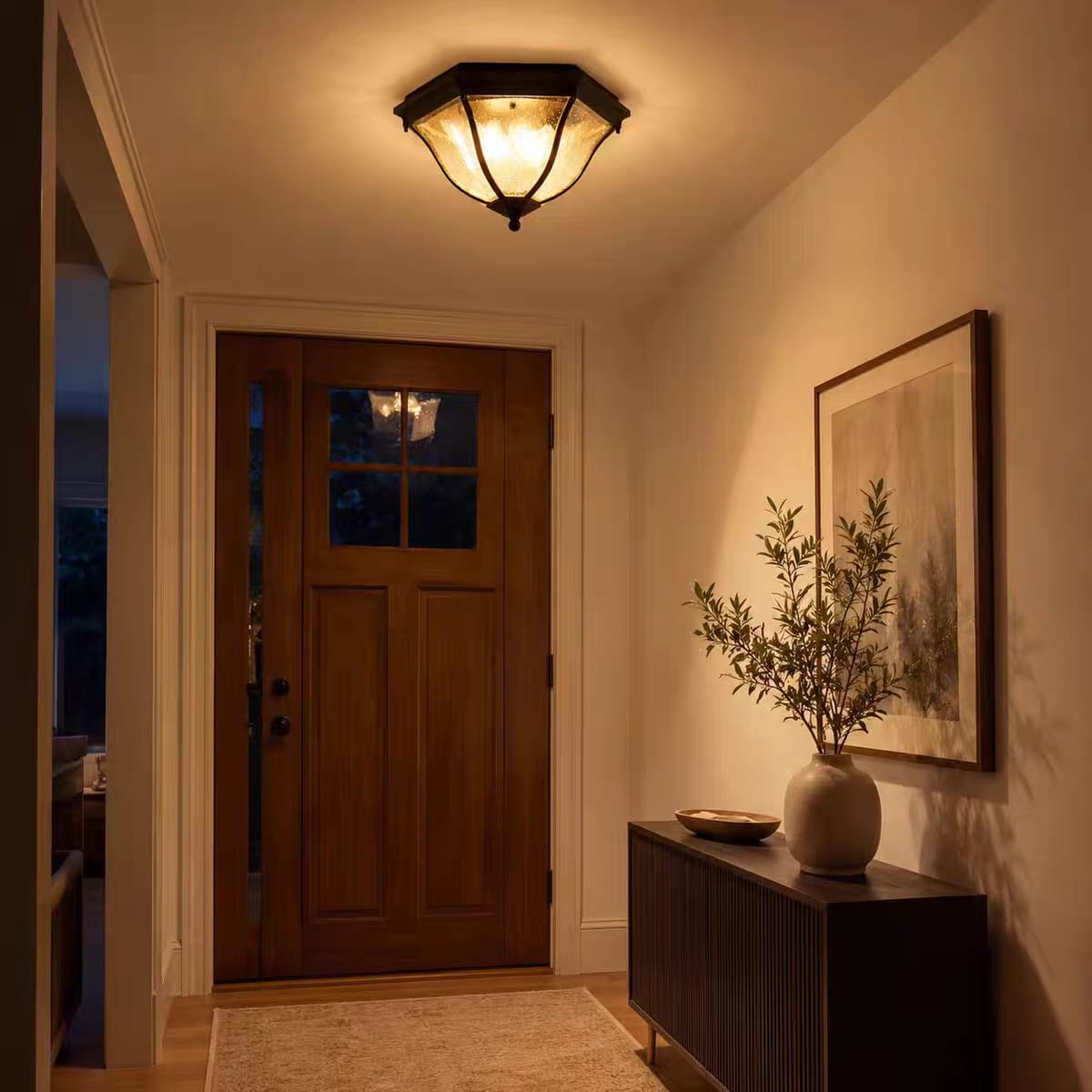 Outdoor Ceiling Light