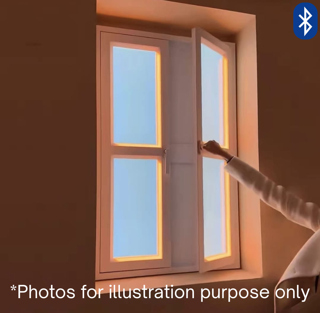 Skylight Window