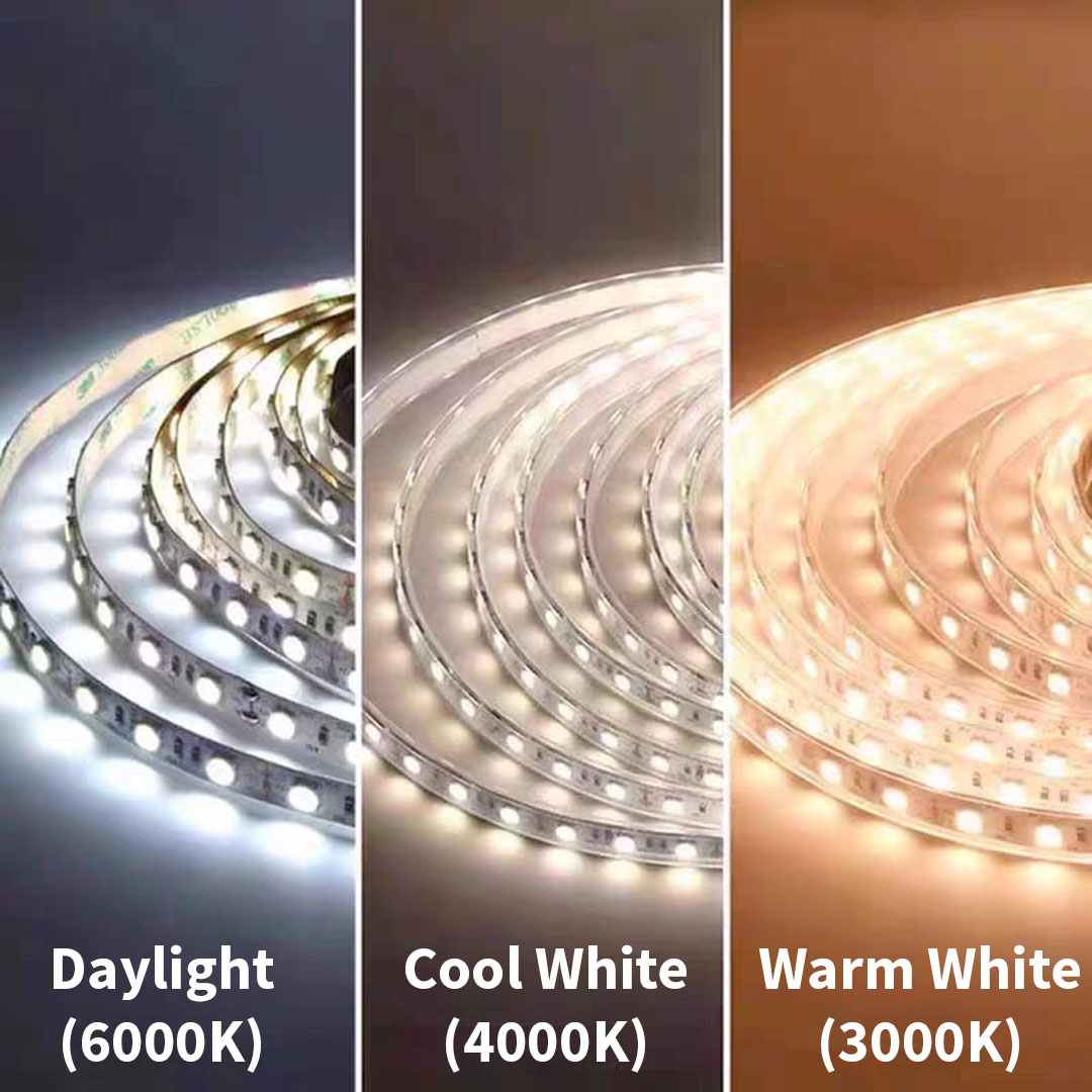 24V Signage LED Strip Light Module