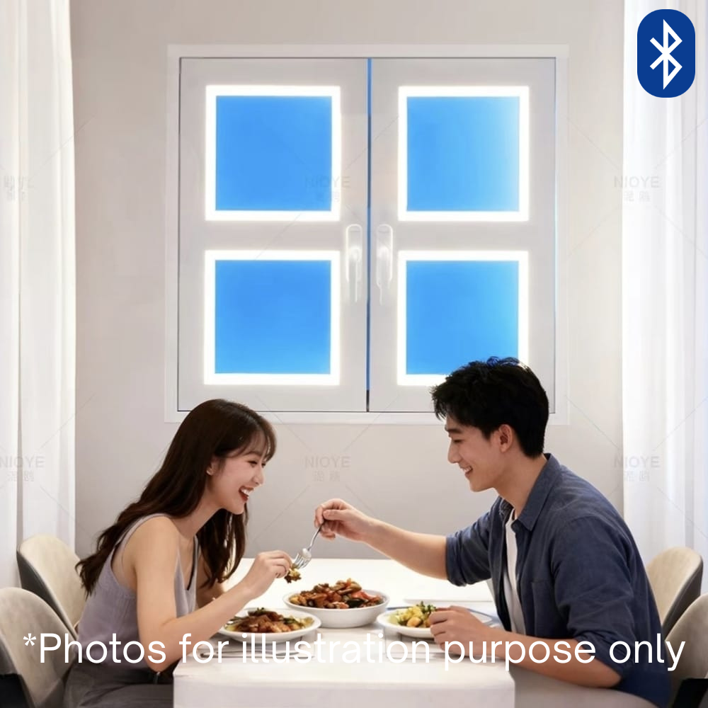 Skylight Window