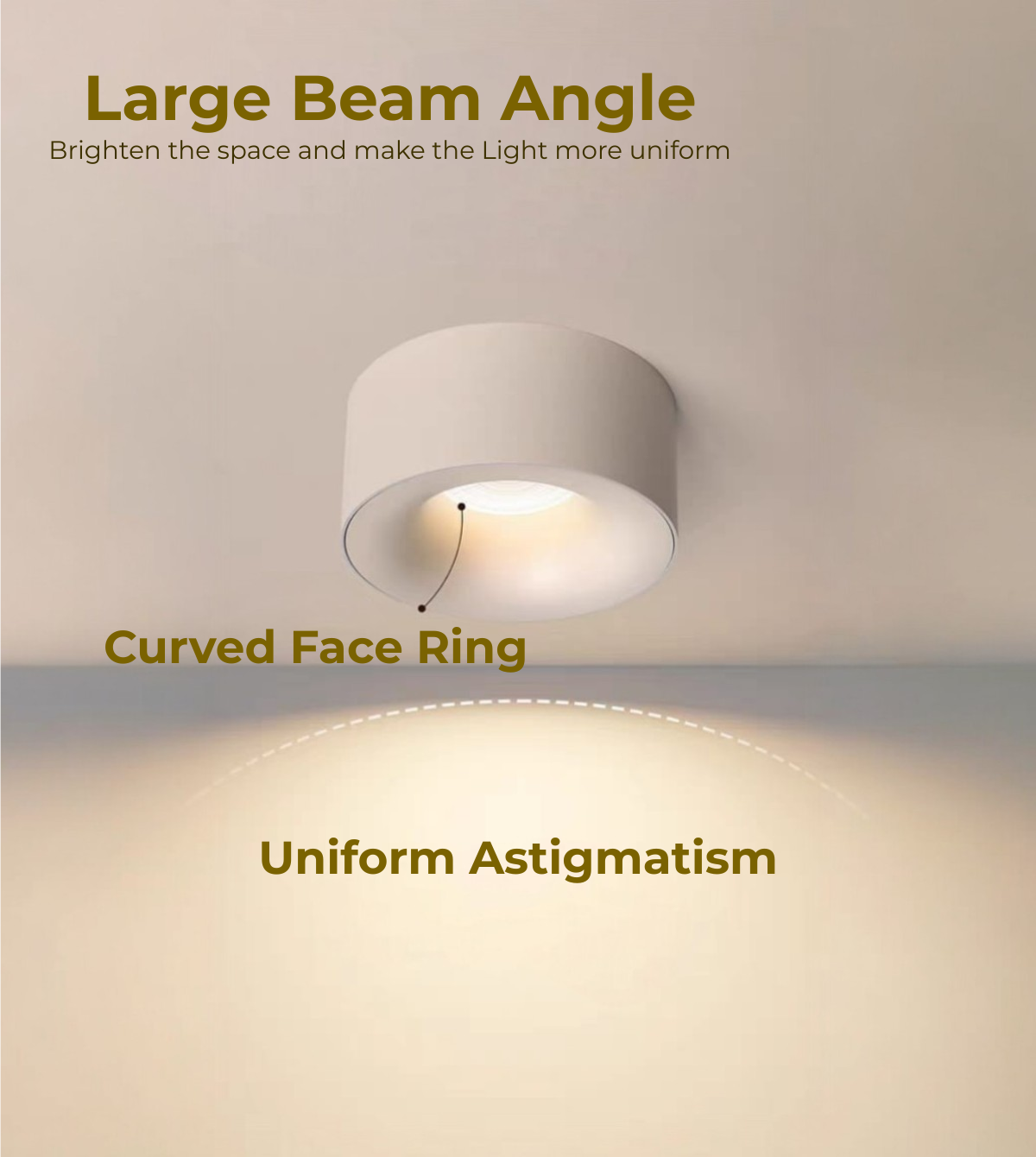 Surface Mounted Curved Ceiling Led