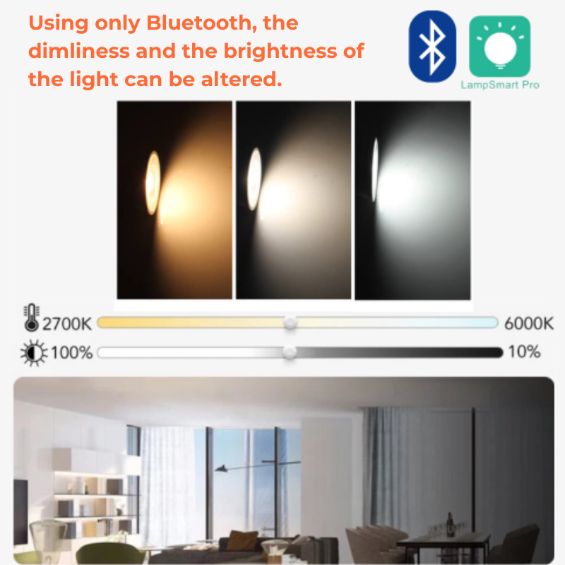 Adjustable LED Dual Ceiling Light