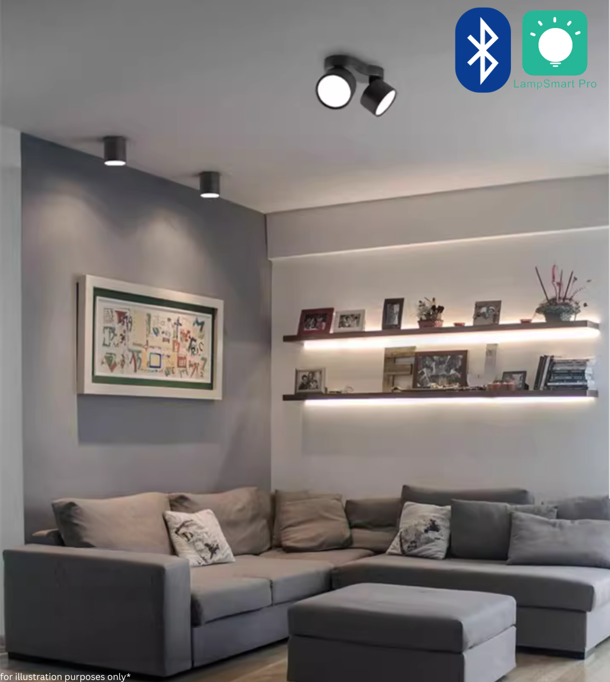 Adjustable LED Dual Ceiling Light