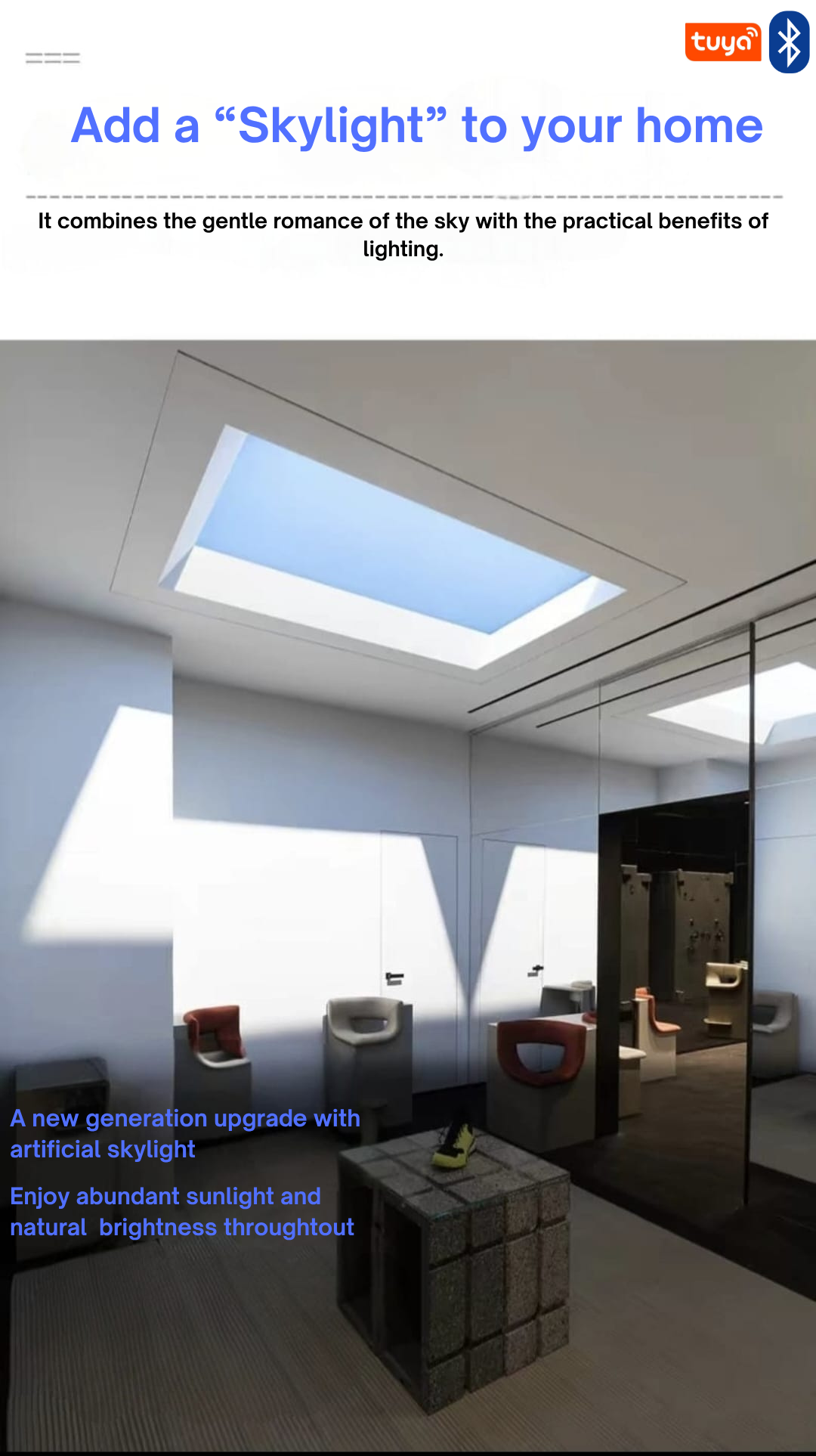 Panel Ceiling Skylight
