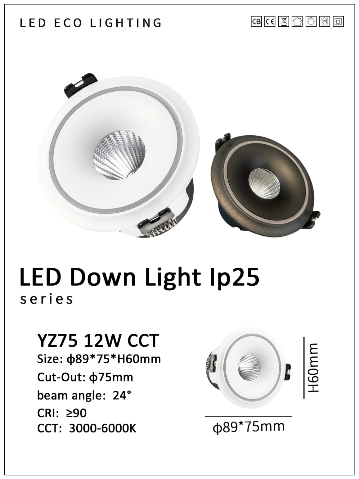 Spotlight (YZ-12W CCT)