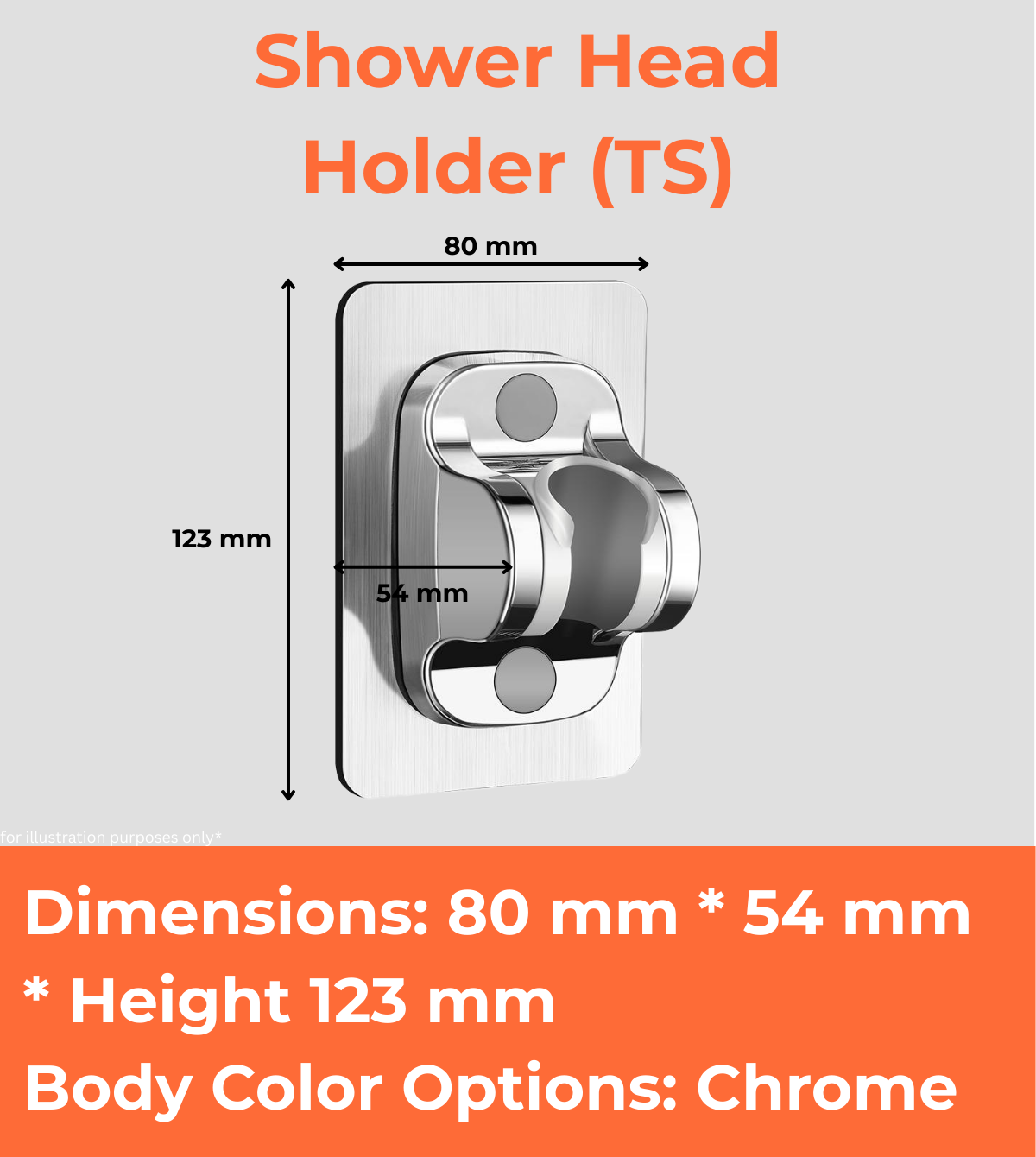 Shower Head Holder (TS)