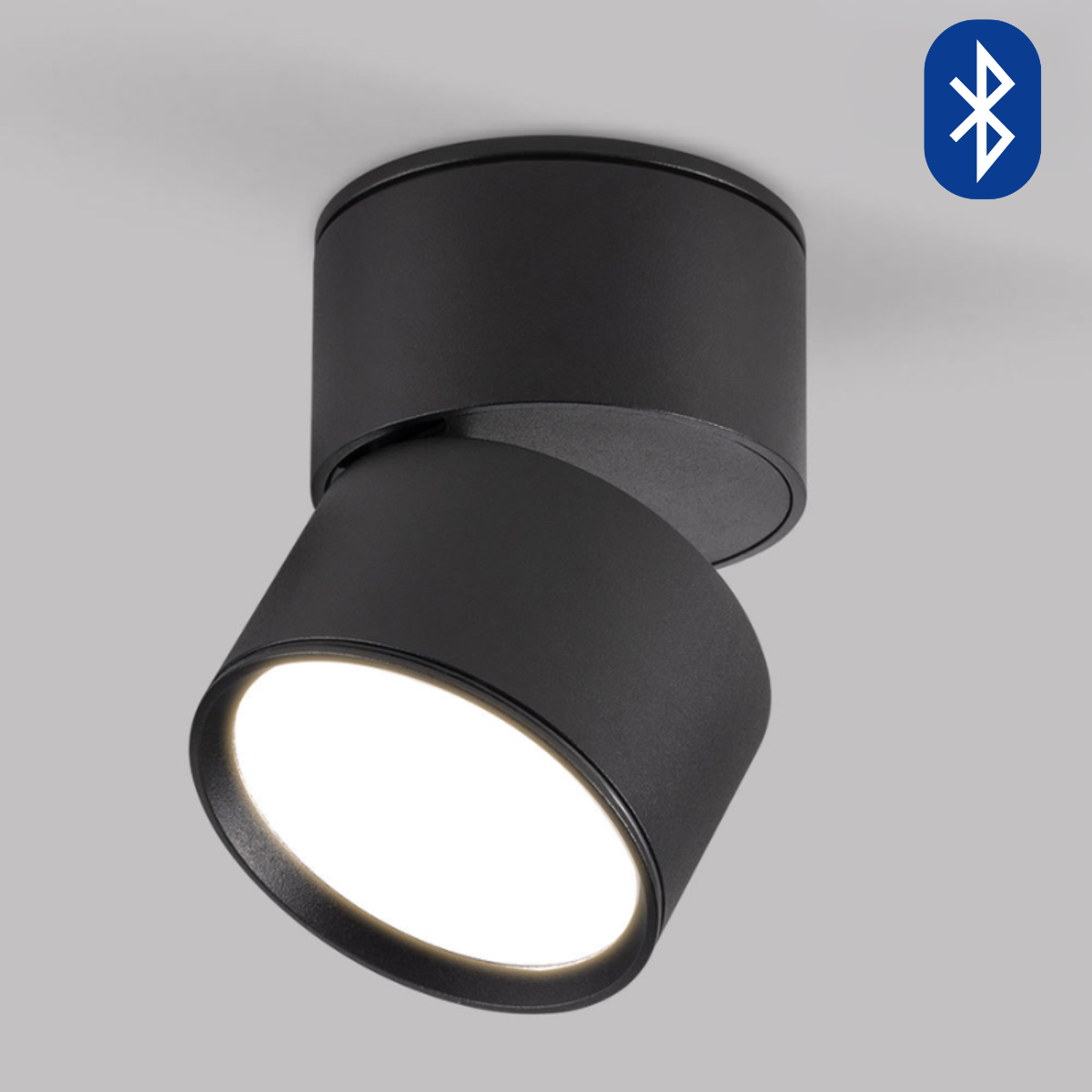 Adjustable LED Ceiling Light