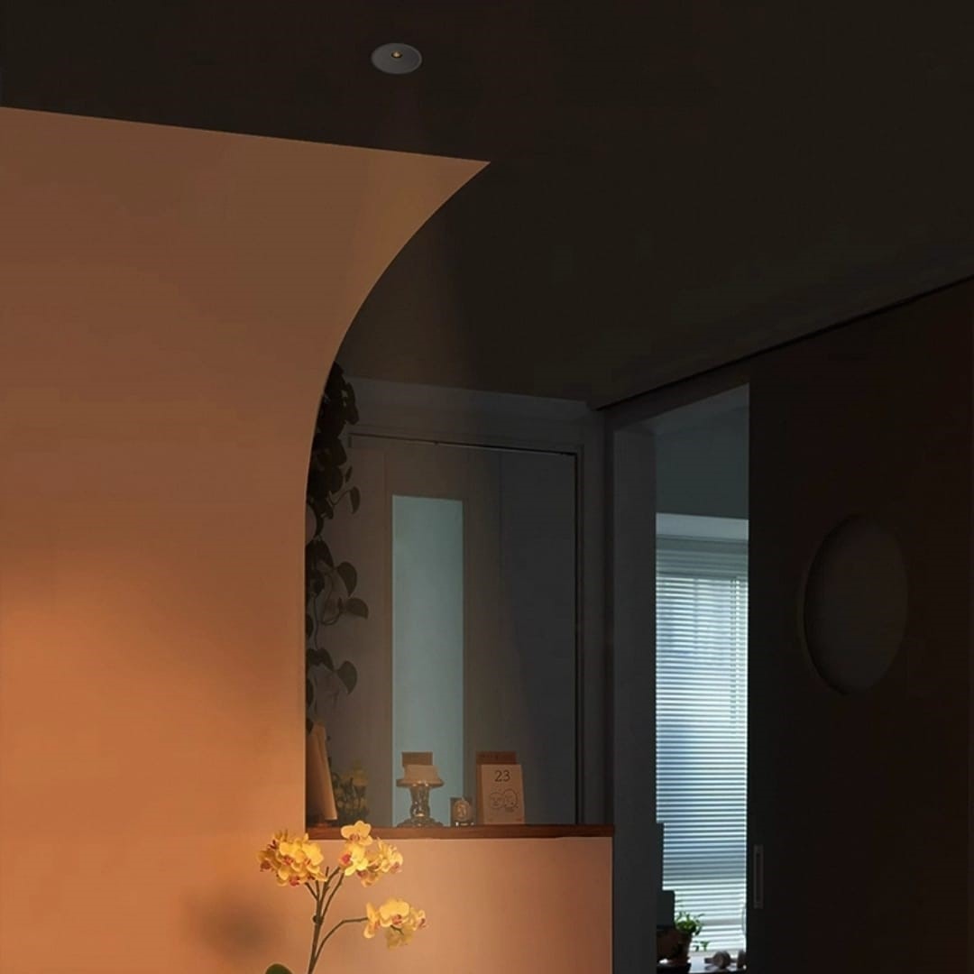 Spotlight with Small Hole (CCT-7W WH/BK)