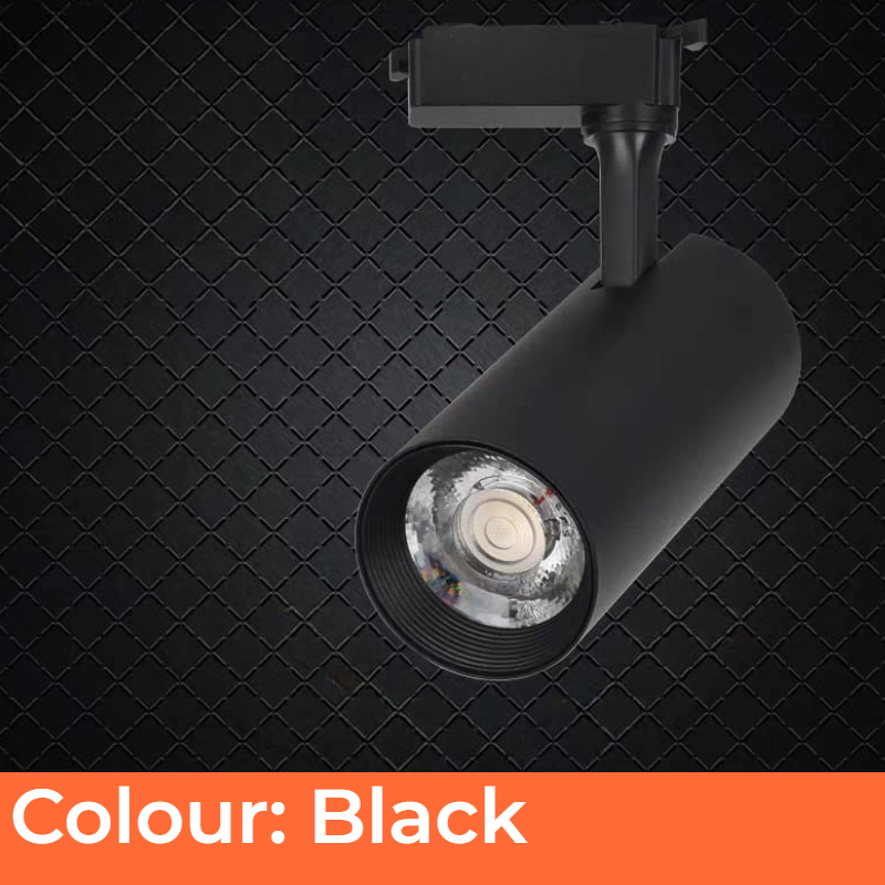 CCT Switchable Normal Track Lamp