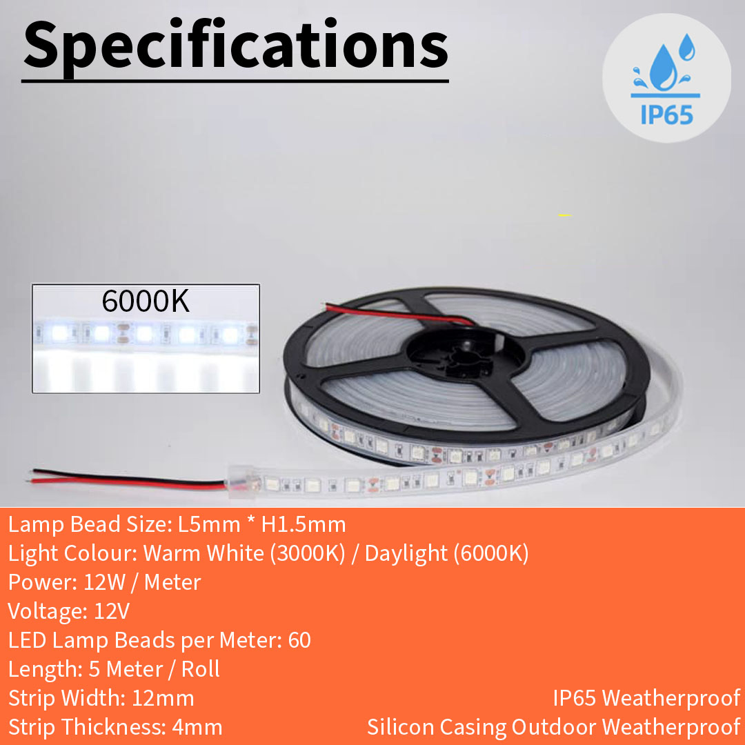 12V 5050 1M / 60 LED Strip Light Weatherproof (5050 IP65)