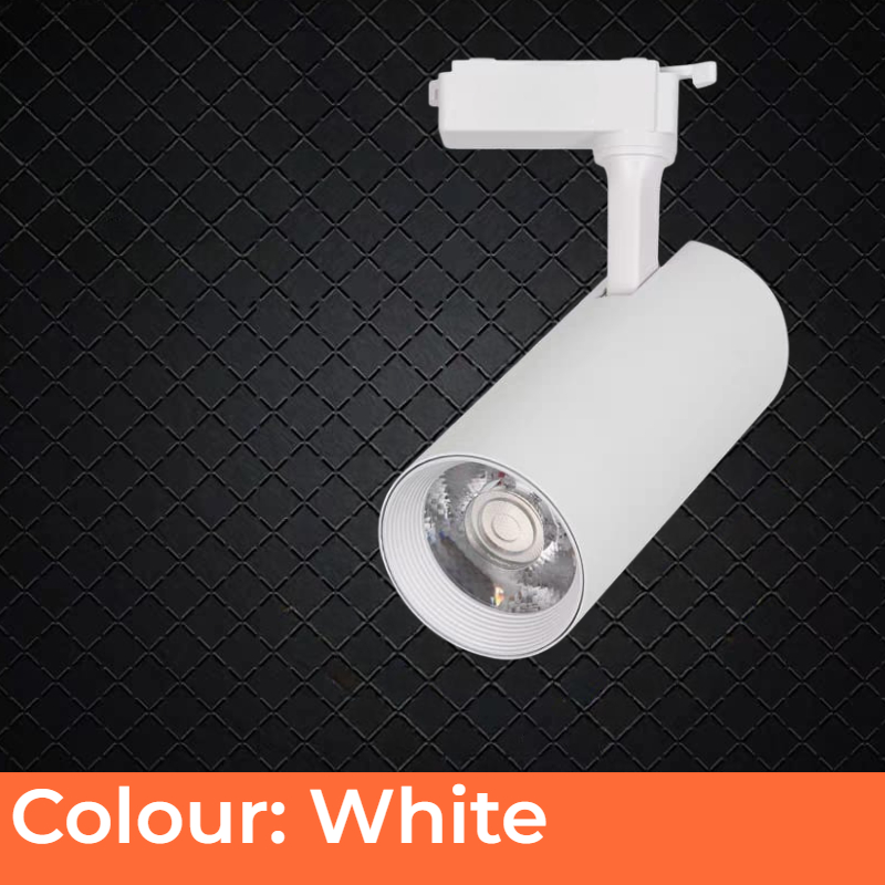 CCT Switchable Normal Track Lamp
