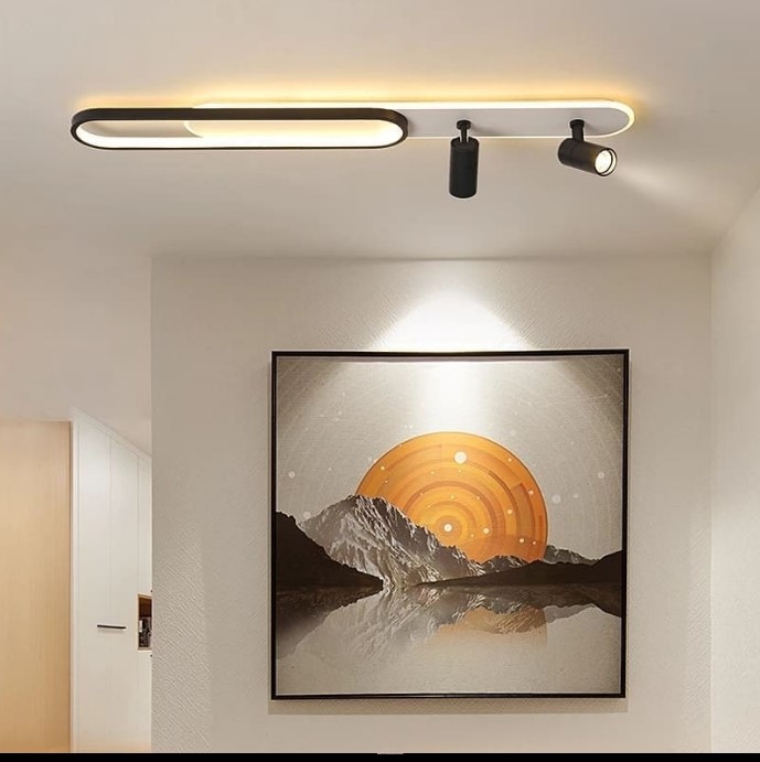 Modern Oval Ceiling Light with Adjustable Spotlights
