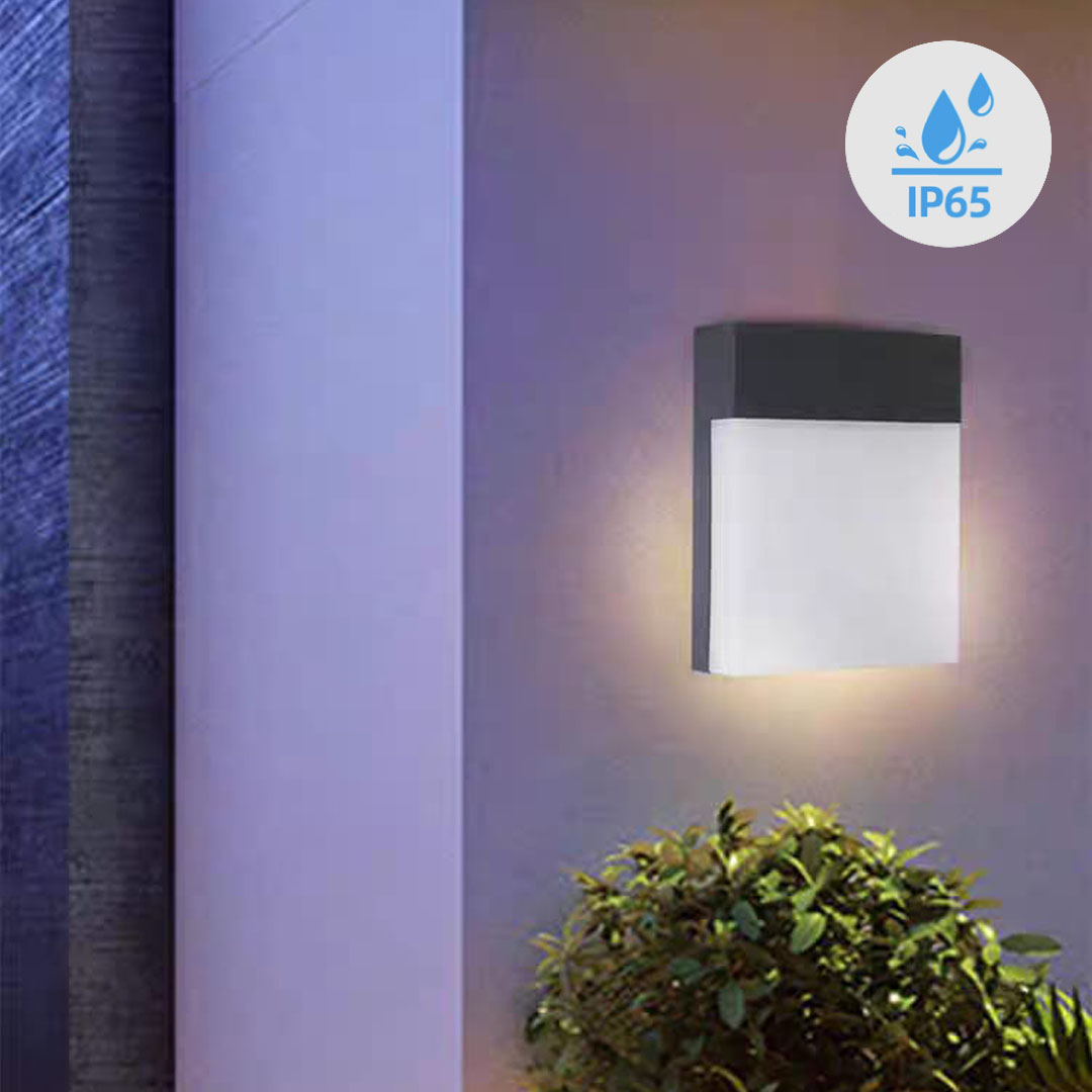 IP65 Outdoor Wall Light (QH-9566)