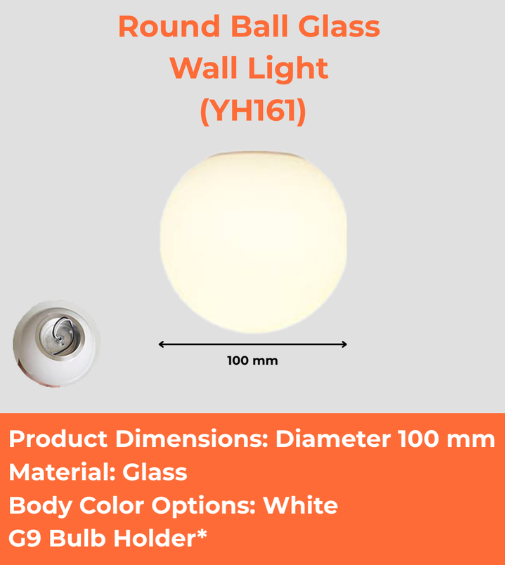 Round Ball Glass Wall Light (YH161)