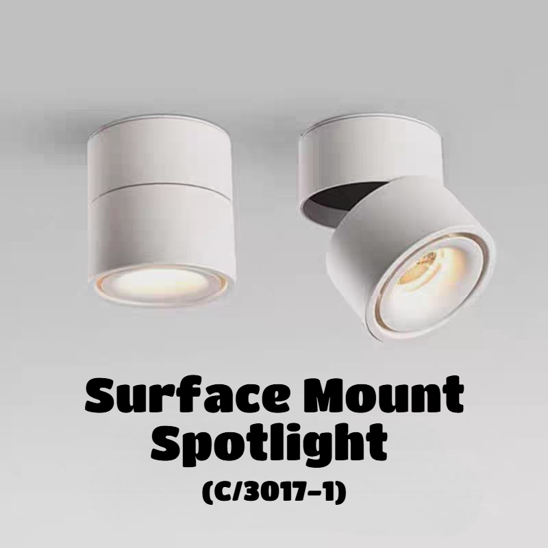 Surface-Mounted Spotlight (C/3017-1 WH/BK)
