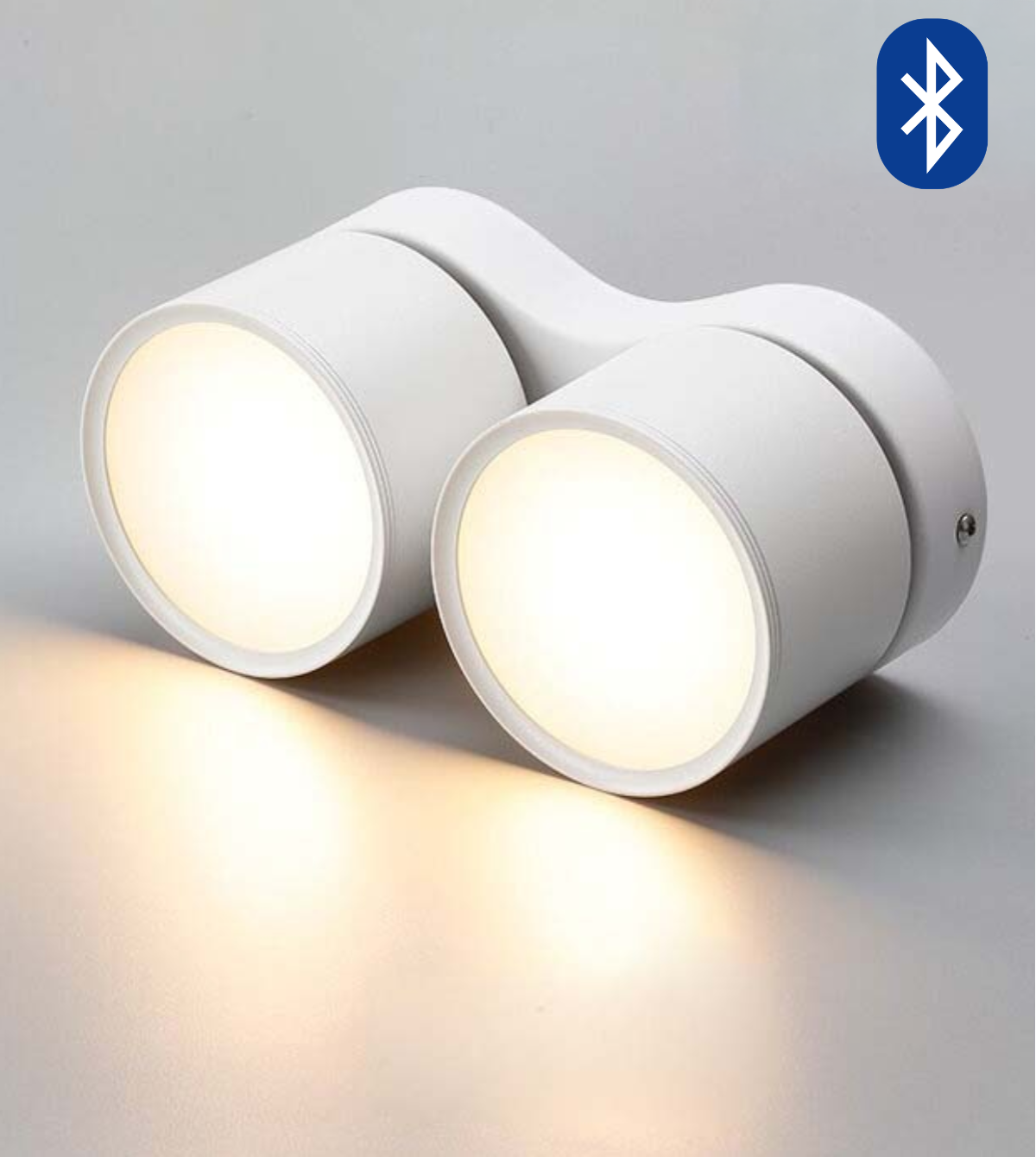 Adjustable LED Dual Ceiling Light