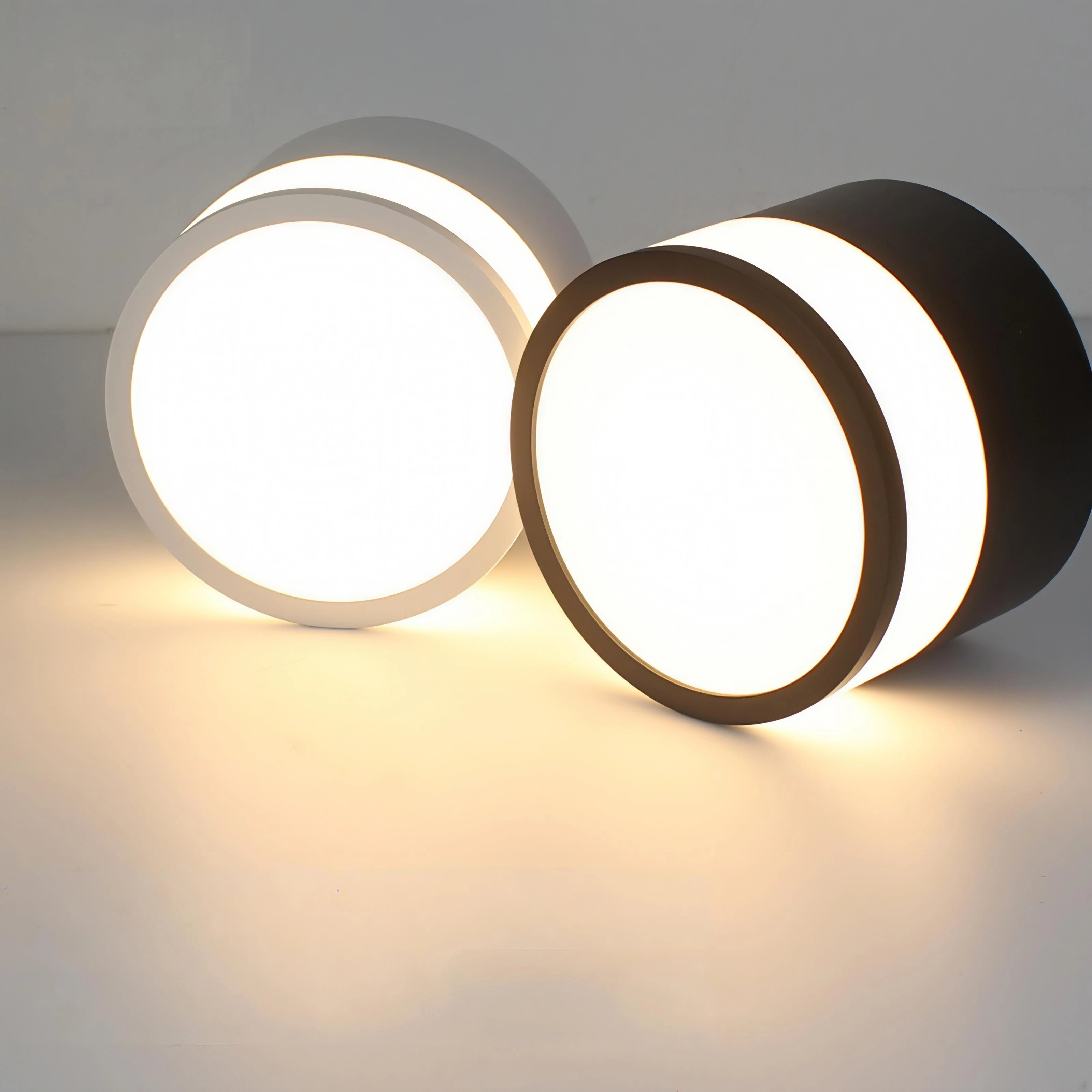 LED Ceiling Light (12W/18W-CCT WH/BK)